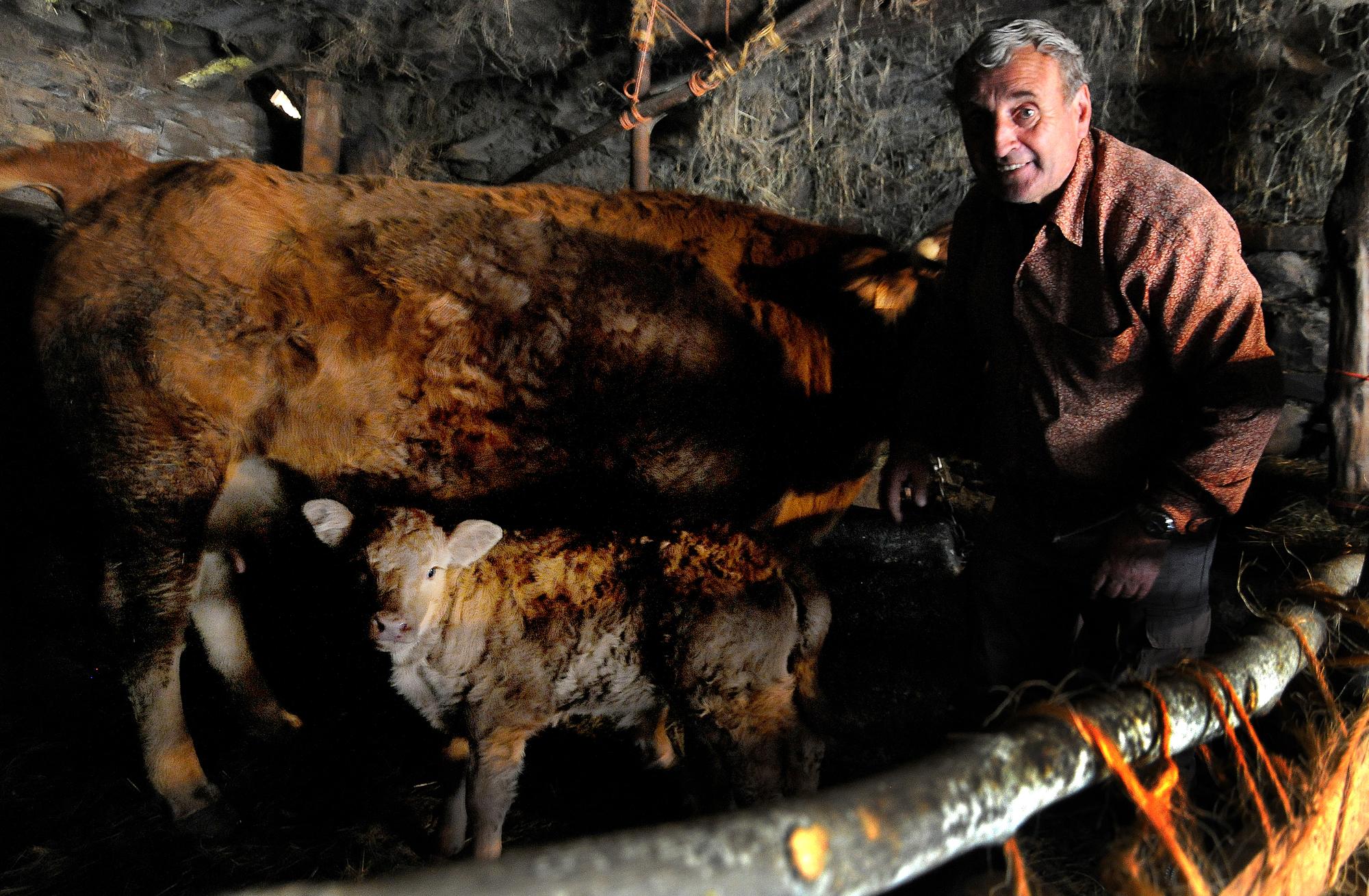 Pallozas Miguel Núñez - 1